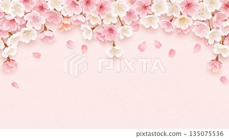 粉紅色春天背景插圖，帶有櫻花圖案 135075536