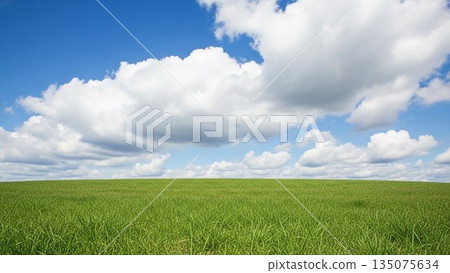 春光明媚，草原碧空如洗，白雲朵朵，景色宜人。 135075634