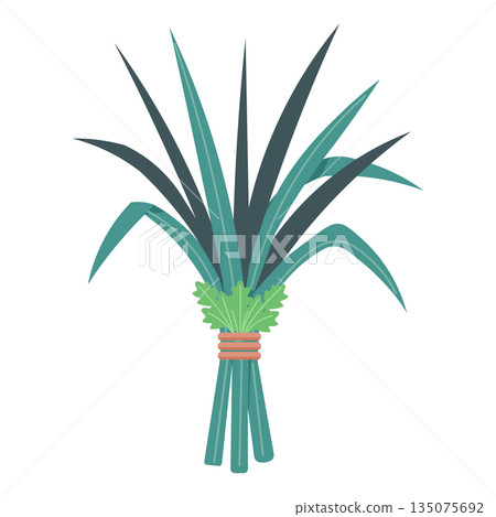 Mugwort And Calamus Leaves Duanwu Festival Vector 135075692