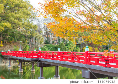 The red bridge (Wakebashi) over the Kawasoko Pond in Tennoji Park The red bridge (Wakebashi) over the Kawasoko Pond in Tennoji Park 135075938