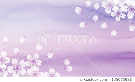 盛開的櫻花樹插圖,象徵春天。 盛開的櫻花樹插圖,象徵春天。 135075988