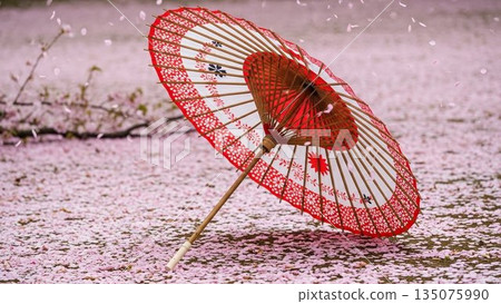 盛開的櫻花樹插圖，象徵春天。 135075990