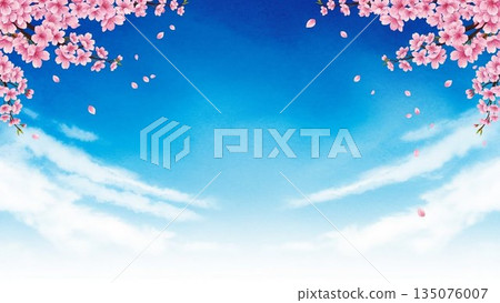 盛開的櫻花樹插圖,象徵春天。 盛開的櫻花樹插圖,象徵春天。 135076007
