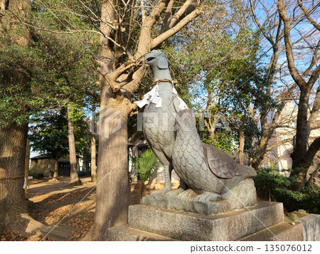 Pheasant at Oyaba Hikawa Shrine 135076012
