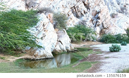 Rock Pool Nestled Among Limestone Cliffs, Shallow Green Water, Scattered Shrubs And Moss, Reflective Surface, Textured Boulder Formations, Secluded Canyon Trail Suitable For Geologist Survey 135076159