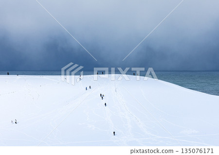 冬日鳥取沙丘的景色,天空陰沉,白雪皚皚。 冬日鳥取沙丘的景色,天空陰沉,白雪皚皚。 135076171