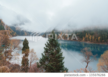 Scenery Jiuzhaigou national park in Sichuan, China. Beautiful Long lake and snow mountain in Autumn season. Famous Landmark and Vacation near Chengdu, China. Asia travel concept Scenery Jiuzhaigou national park in Sichuan, China. Beautiful Long lake and snow mountain in Autumn season. Famous Landmark and Vacation near Chengdu, China. Asia travel concept 135076266