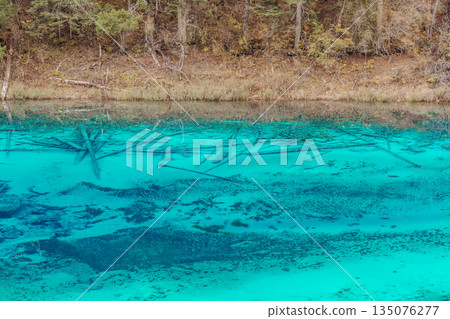 Scenery Jiuzhaigou national park in Sichuan, China. Beautiful Colorful Pond in Autumn season. Famous Landmark and Vacation near Chengdu, China. Asia travel concept Scenery Jiuzhaigou national park in Sichuan, China. Beautiful Colorful Pond in Autumn season. Famous Landmark and Vacation near Chengdu, China. Asia travel concept 135076277