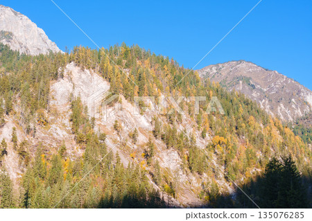 Scenery Jiuzhaigou national park in Sichuan, China. Beautiful of Arrow Bamboo Lake and snow mountain in Autumn season. Famous Landmark and Vacation near Chengdu, China. Asia travel concept Scenery Jiuzhaigou national park in Sichuan, China. Beautiful of Arrow Bamboo Lake and snow mountain in Autumn season. Famous Landmark and Vacation near Chengdu, China. Asia travel concept 135076285
