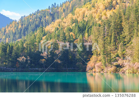 Scenery Jiuzhaigou national park in Sichuan, China. Beautiful of Arrow Bamboo Lake and snow mountain in Autumn season. Famous Landmark and Vacation near Chengdu, China. Asia travel concept Scenery Jiuzhaigou national park in Sichuan, China. Beautiful of Arrow Bamboo Lake and snow mountain in Autumn season. Famous Landmark and Vacation near Chengdu, China. Asia travel concept 135076288