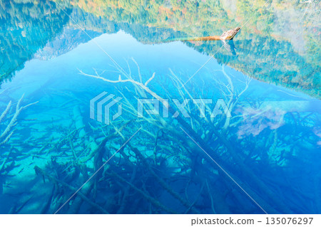 Scenery Jiuzhaigou national park in Sichuan, China. Beautiful clear water of Five Flower Lake in Autumn season. Famous Landmark and Vacation near Chengdu, China. Asia travel concept Scenery Jiuzhaigou national park in Sichuan, China. Beautiful clear water of Five Flower Lake in Autumn season. Famous Landmark and Vacation near Chengdu, China. Asia travel concept 135076297