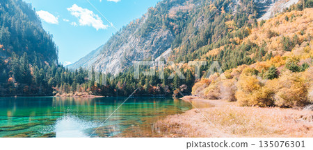 Scenery Jiuzhaigou national park in Sichuan, China. Beautiful Five Flower Lake in Autumn season. Famous Landmark and Vacation near Chengdu, China. Asia travel concept Scenery Jiuzhaigou national park in Sichuan, China. Beautiful Five Flower Lake in Autumn season. Famous Landmark and Vacation near Chengdu, China. Asia travel concept 135076301