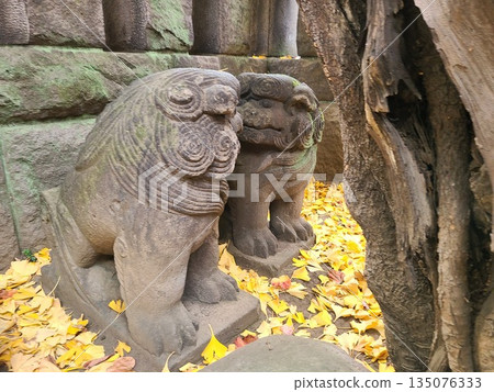 Azabu Hikawa Shrine 135076333