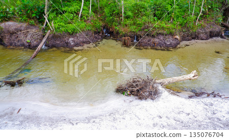 Shallow Freshwater River with Fallen Logs and Small Waterfalls on the Bank Shallow Freshwater River with Fallen Logs and Small Waterfalls on the Bank 135076704