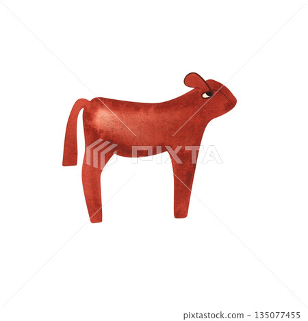 Red Angus is the most popular beef cattle breed for beef steaks. Calf. Character for packaging, children's book and encyclopedia. Isolated watercolor illustration in retro style. Clipart. 135077455