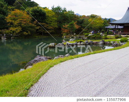 世界遺產，京都天龍寺草源池庭園：以嵐山為背景的美麗漫步池塘庭園。 135077906