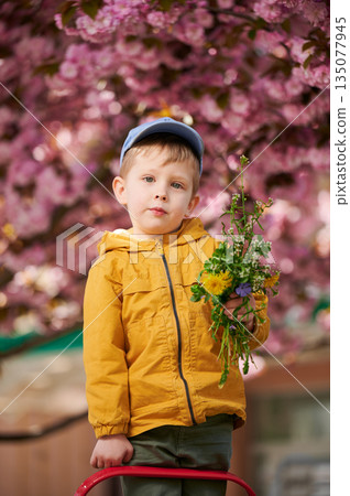 Young boy allergic enjoying after treatment from seasonal allergy at spring. Portrait of happy guy smiling in front of blooming tree at springtime. Spring allergy concept. 135077945