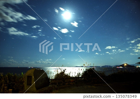 Cape Irago in autumn: View of the moonlit sea from the palm tree monument with swaying silver grass 135078349