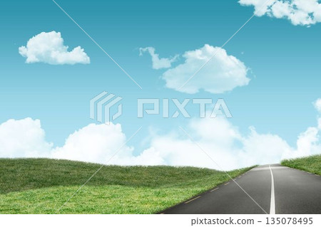 Road leading out to the horizon 135078495