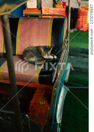 Sleeping Kitten Resting on Back Seat of a Tuk Tuk Sleeping Kitten Resting on Back Seat of a Tuk Tuk 135078897