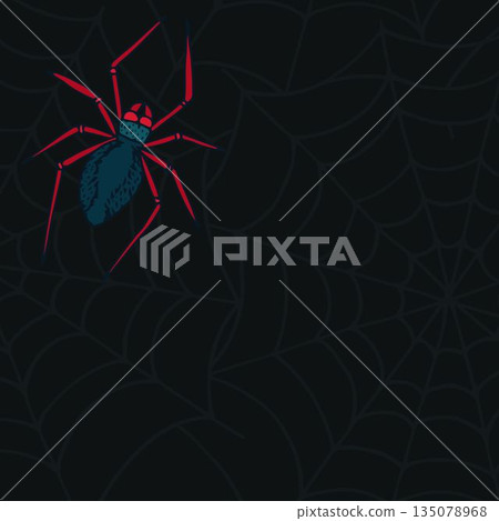Digital image of spider on web 135078968