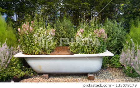 Creative upcycled vintage bathtub used as a floral planter in a rustic garden with pink flowers. Ideal for sustainability, DIY gardening, and cottagecore outdoor decor themes Creative upcycled vintage bathtub used as a floral planter in a rustic garden with pink flowers. Ideal for sustainability, DIY gardening, and cottagecore outdoor decor themes 135079179