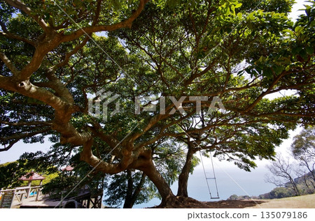 Nokonoshima Island Park - Hakata Bay from the grass plaza 135079186