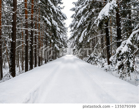 Snowy road Snowy road 135079399