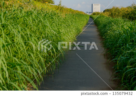 gloomy road gloomy road 135079432