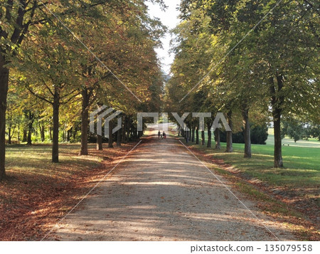 road in the old park road in the old park 135079558