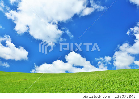 Refreshing summer blue sky and fresh green meadow landscape Refreshing summer blue sky and fresh green meadow landscape 135079845