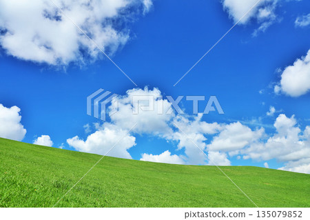 Refreshing summer blue sky and fresh green meadow landscape Refreshing summer blue sky and fresh green meadow landscape 135079852