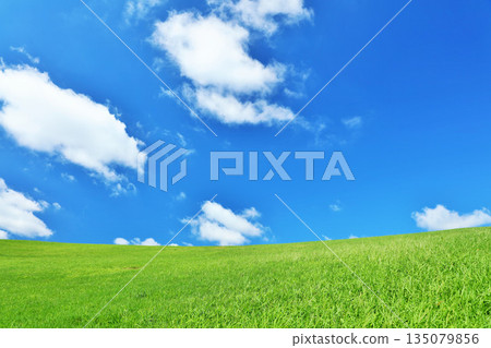 清爽的夏日藍天和清新的綠色草甸景觀 清爽的夏日藍天和清新的綠色草甸景觀 135079856