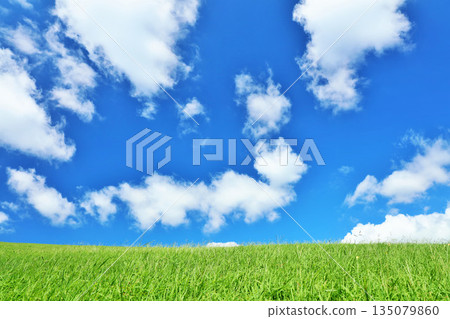 Refreshing summer blue sky and fresh green meadow landscape Refreshing summer blue sky and fresh green meadow landscape 135079860
