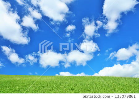 清爽的夏日藍天和清新的綠色草甸景觀 135079861