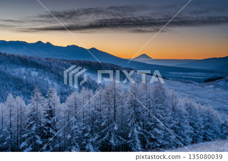 隆冬時節，霧峰高原上的富士山和覆滿霜雪的落葉松閃耀著銀光。 135080039