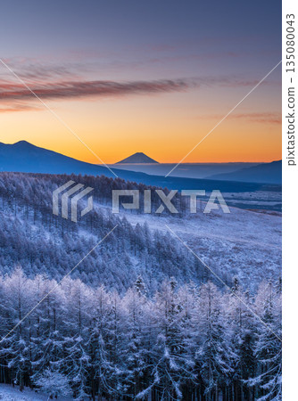 隆冬時節,霧峰高原上的富士山和覆滿霜雪的落葉松閃耀著銀光。 隆冬時節,霧峰高原上的富士山和覆滿霜雪的落葉松閃耀著銀光。 135080043
