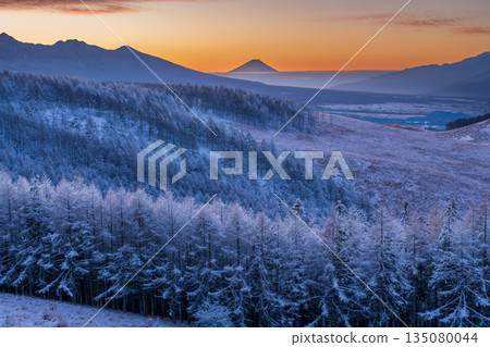 隆冬時節,霧峰高原上的富士山和覆滿霜雪的落葉松閃耀著銀光。 隆冬時節,霧峰高原上的富士山和覆滿霜雪的落葉松閃耀著銀光。 135080044
