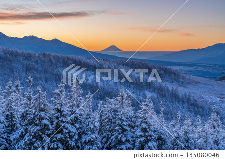 Mount Fuji and frost-covered larch trees shining white from the Kirigamine Plateau in the dead of winter 135080046