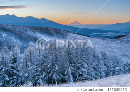 隆冬時節，霧峰高原上的富士山和覆滿霜雪的落葉松閃耀著銀光。 135080053