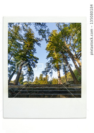 第63屆式年千宮神社內的極地楓樹(2033年) 第63屆式年千宮神社內的極地楓樹(2033年) 135080184