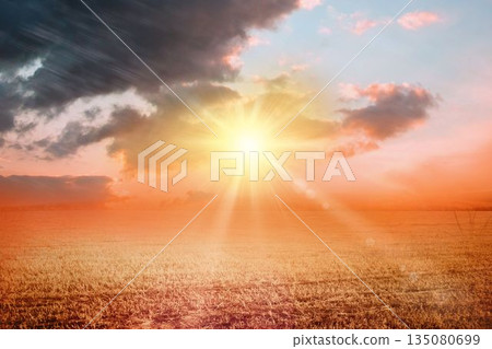 Digitally generated Sunrise over field Digitally generated Sunrise over field 135080699