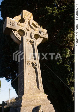 Low angle view of tombstone by tree Low angle view of tombstone by tree 135080764