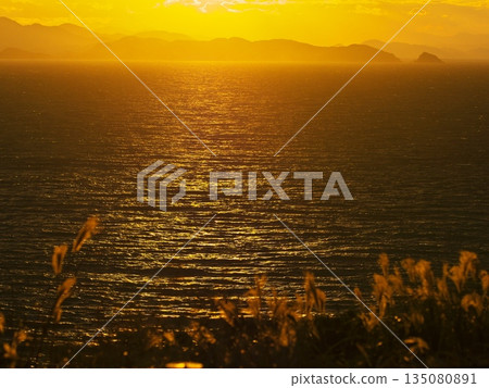 伊良閣岬：從伊良閣防禦哨所遺址眺望日本蒲葦和金色的大海 135080891