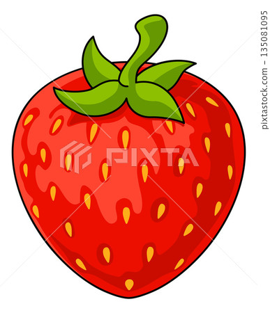 Strawberry Fresh Red Fruit Illustration Strawberry Fresh Red Fruit Illustration 135081095