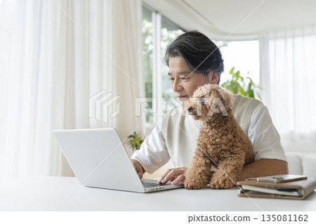 A man in his 50s working on a laptop while holding a toy poodle 135081162