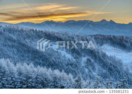 冬季,霧峰高原上白雪皚皚,八嶽山峰在陽光下閃閃發光。 冬季,霧峰高原上白雪皚皚,八嶽山峰在陽光下閃閃發光。 135081251