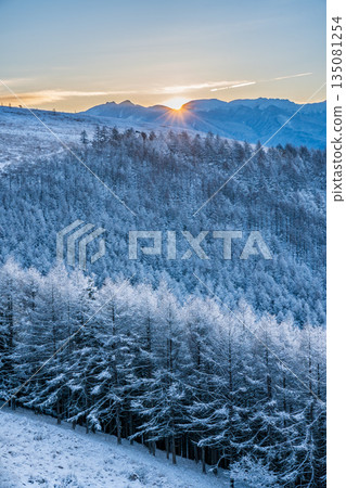 冬季,霧峰高原上白雪皚皚,八嶽山峰在陽光下閃閃發光。 冬季,霧峰高原上白雪皚皚,八嶽山峰在陽光下閃閃發光。 135081254