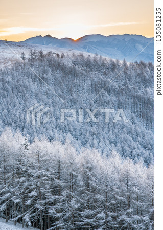 冬季,霧峰高原上白雪皚皚,八嶽山峰在陽光下閃閃發光。 冬季,霧峰高原上白雪皚皚,八嶽山峰在陽光下閃閃發光。 135081255