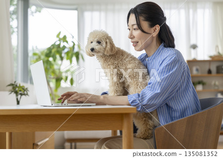 A middle-aged woman working on a computer while holding her pet dog. Image of working from home. A middle-aged woman working on a computer while holding her pet dog. Image of working from home. 135081352